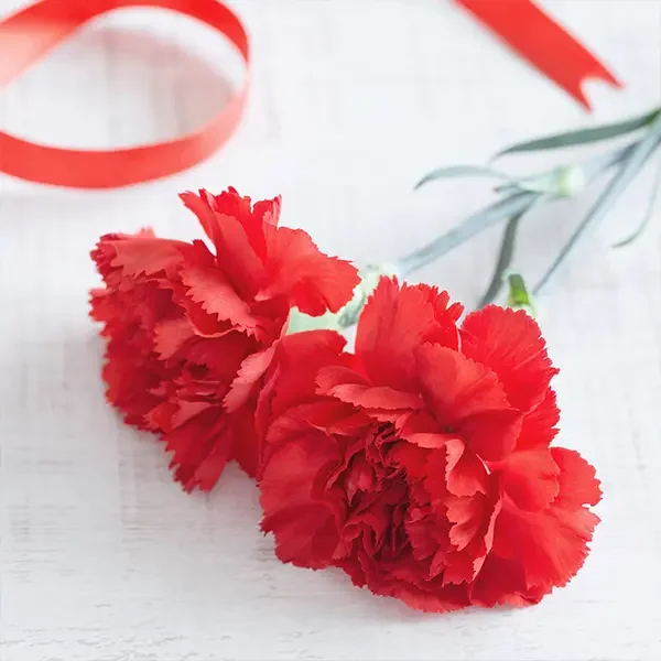 中国料理 竹園「"母の日特典付き"特別コース 」—北京ダックで豪華にお祝いを―　5/7(木)～5/10(日)